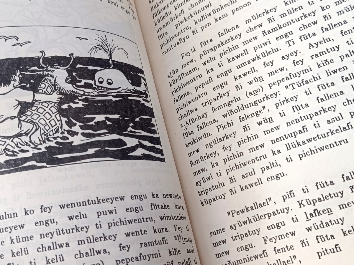 La literatura indígena no se escribe en lengua indígena.
