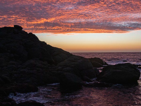 La fuerza de la palabra